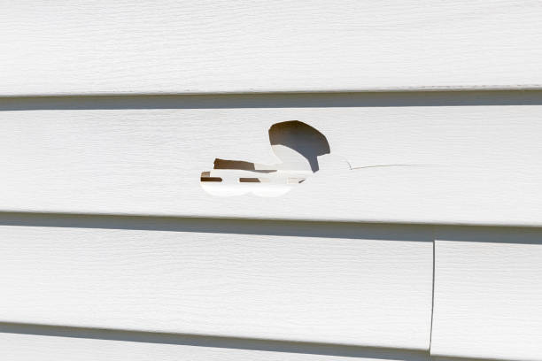 Best James Hardie Siding  in Oxford, MI