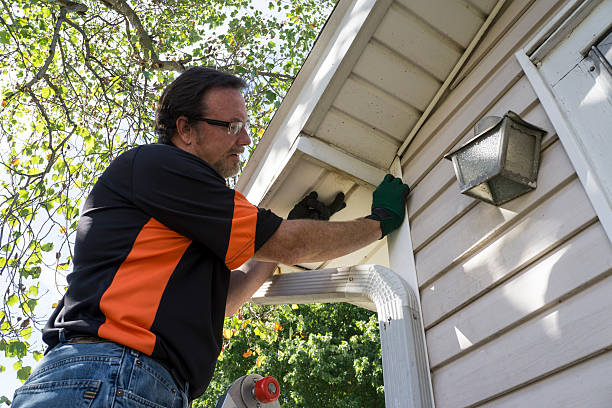 Best Historical Building Siding Restoration  in Oxford, MI