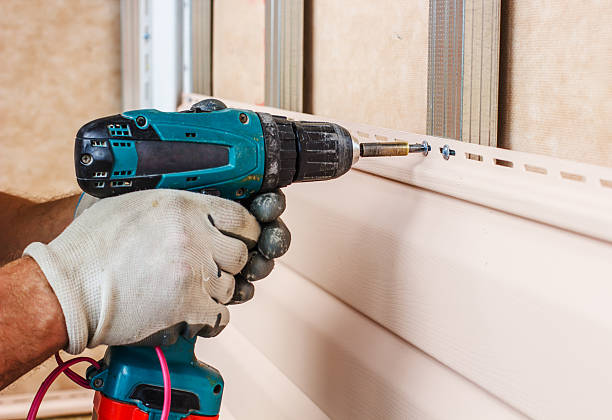 Best Custom Trim and Detailing for Siding  in Oxford, MI
